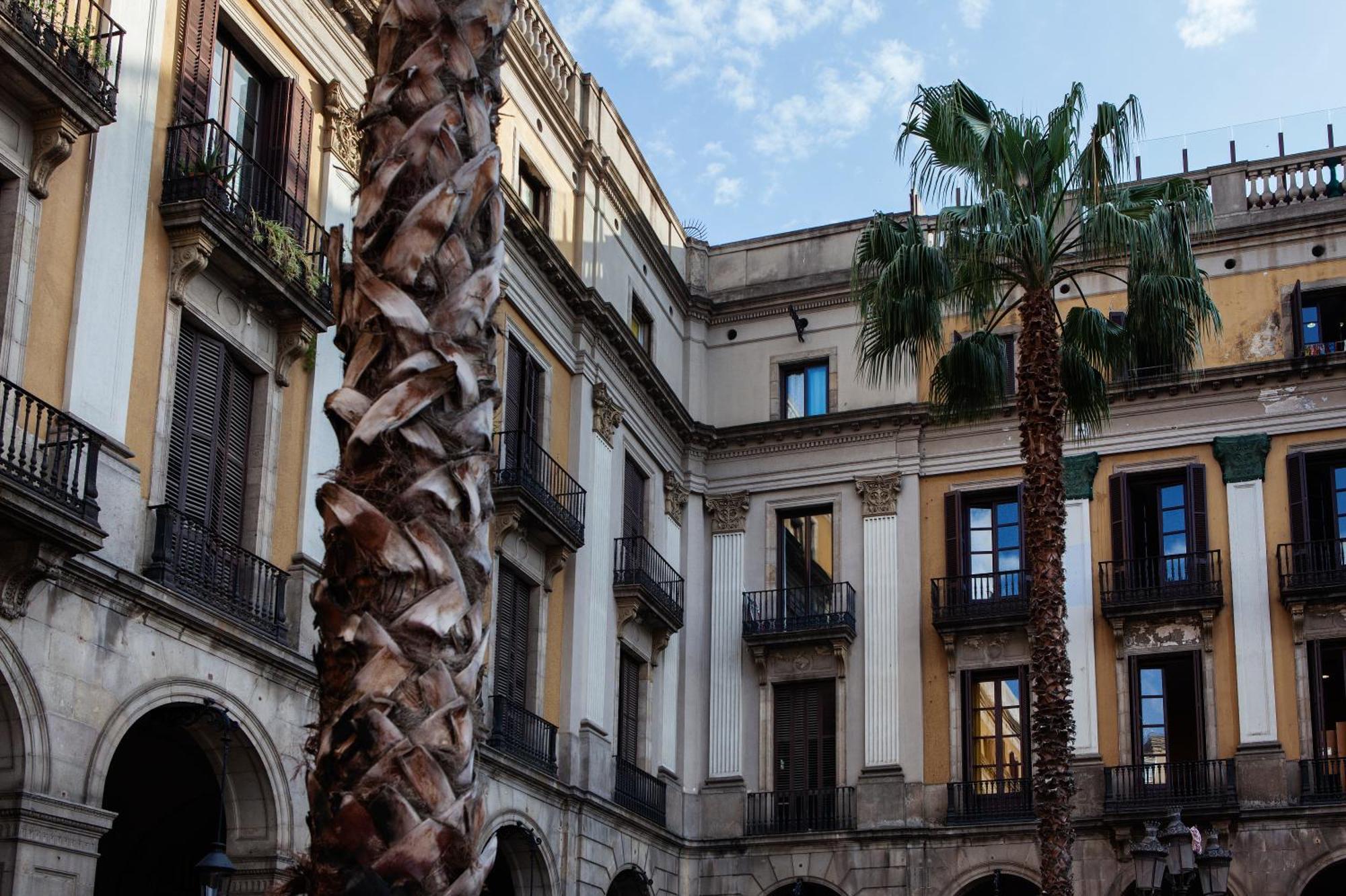 Ramblas Apartments Barcelona Rum bild